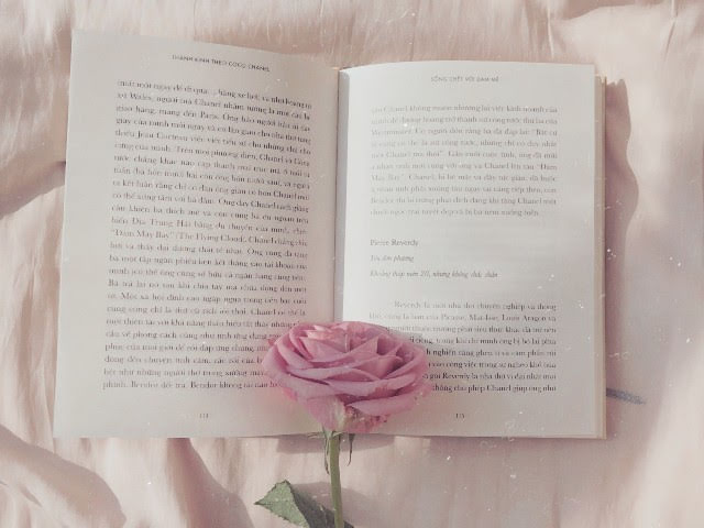 バラと本